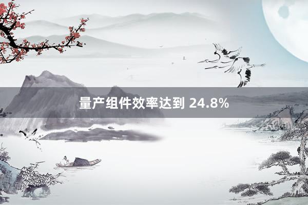 量产组件效率达到 24.8%