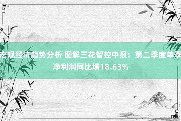 宏观经济趋势分析 图解三花智控中报：第二季度单季净利润同比增18.63%