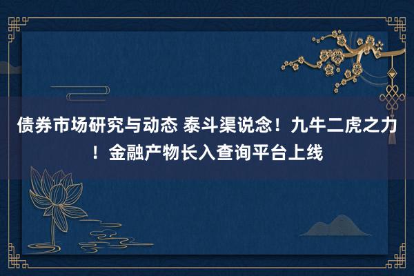 债券市场研究与动态 泰斗渠说念！九牛二虎之力！金融产物长入查询平台上线