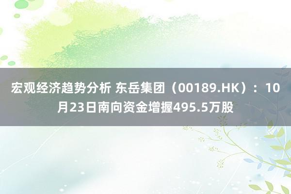 宏观经济趋势分析 东岳集团（00189.HK）：10月23日南向资金增握495.5万股