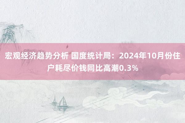 宏观经济趋势分析 国度统计局：2024年10月份住户耗尽价钱同比高潮0.3%