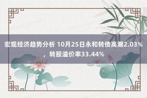 宏观经济趋势分析 10月25日永和转债高潮2.03%，转股溢价率33.44%