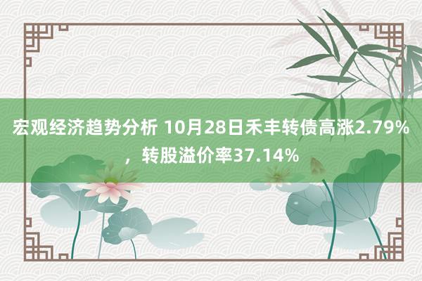 宏观经济趋势分析 10月28日禾丰转债高涨2.79%，转股溢价率37.14%