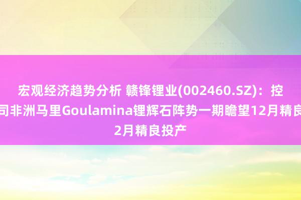 宏观经济趋势分析 赣锋锂业(002460.SZ)：控股公司非洲马里Goulamina锂辉石阵势一期瞻望12月精良投产