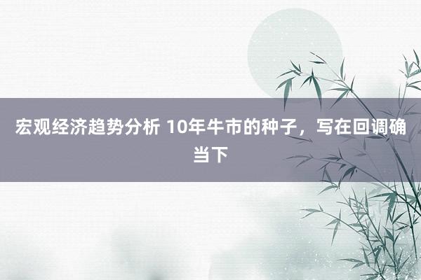 宏观经济趋势分析 10年牛市的种子，写在回调确当下