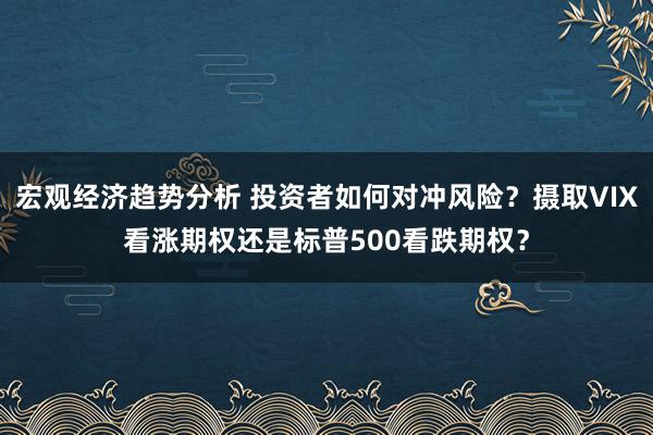 宏观经济趋势分析 投资者如何对冲风险？摄取VIX看涨期权还是标普500看跌期权？