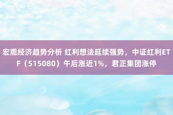 宏观经济趋势分析 红利想法延续强势，中证红利ETF（515080）午后涨近1%，君正集团涨停