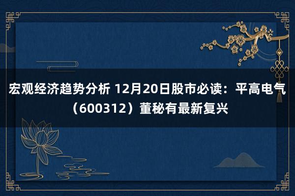 宏观经济趋势分析 12月20日股市必读：平高电气（600312）董秘有最新复兴