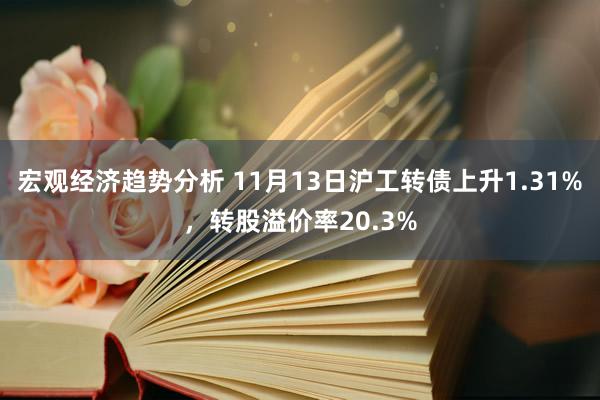 宏观经济趋势分析 11月13日沪工转债上升1.31%，转股溢价率20.3%