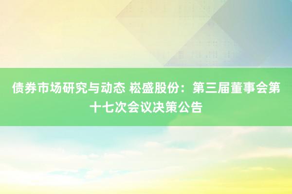 债券市场研究与动态 崧盛股份：第三届董事会第十七次会议决策公告