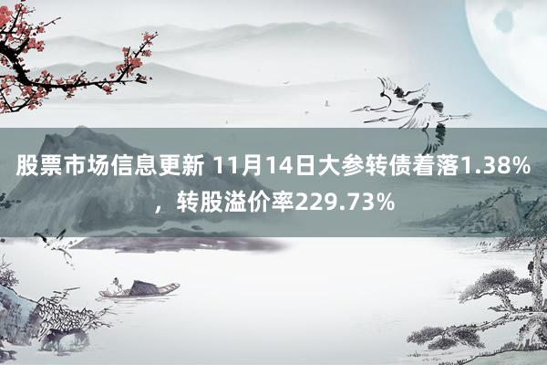 股票市场信息更新 11月14日大参转债着落1.38%，转股溢价率229.73%