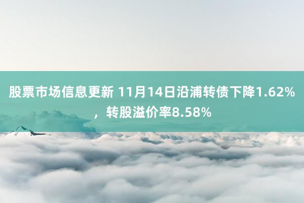 股票市场信息更新 11月14日沿浦转债下降1.62%，转股溢价率8.58%