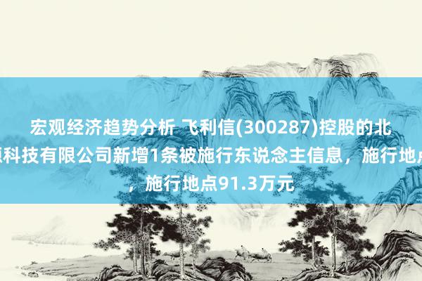 宏观经济趋势分析 飞利信(300287)控股的北京天云能源科技有限公司新增1条被施行东说念主信息，施行地点91.3万元