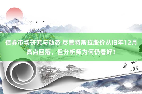 债券市场研究与动态 尽管特斯拉股价从旧年12月高点回落，但分析师为何仍看好？