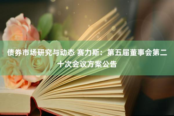 债券市场研究与动态 赛力斯：第五届董事会第二十次会议方案公告