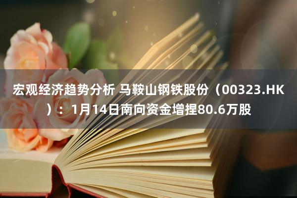 宏观经济趋势分析 马鞍山钢铁股份（00323.HK）：1月14日南向资金增捏80.6万股