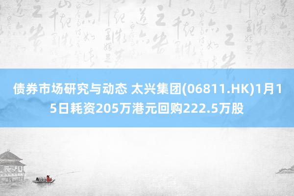 债券市场研究与动态 太兴集团(06811.HK)1月15日耗资205万港元回购222.5万股