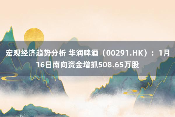 宏观经济趋势分析 华润啤酒（00291.HK）：1月16日南向资金增抓508.65万股