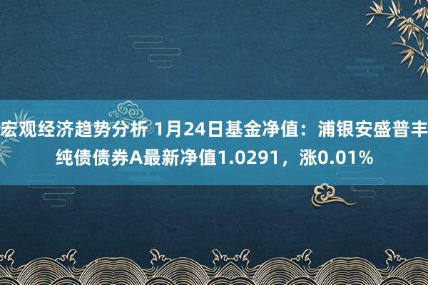 宏观经济趋势分析 1月24日基金净值：浦银安盛普丰纯债债券A最新净值1.0291，涨0.01%