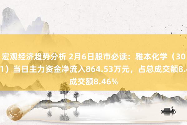 宏观经济趋势分析 2月6日股市必读：雅本化学（300261）当日主力资金净流入864.53万元，占总成交额8.46%