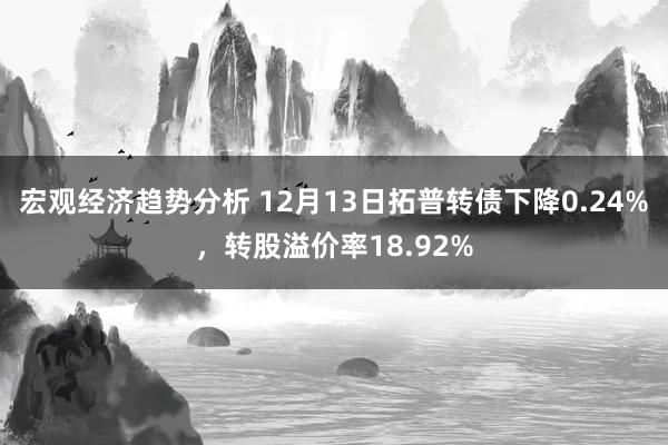 宏观经济趋势分析 12月13日拓普转债下降0.24%，转股溢价率18.92%