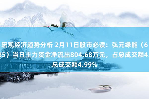 宏观经济趋势分析 2月11日股市必读：弘元绿能（603185）当日主力资金净流出804.68万元，占总成交额4.99%