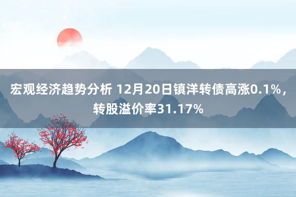 宏观经济趋势分析 12月20日镇洋转债高涨0.1%，转股溢价率31.17%