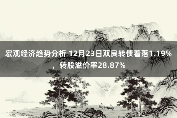 宏观经济趋势分析 12月23日双良转债着落1.19%，转股溢价率28.87%