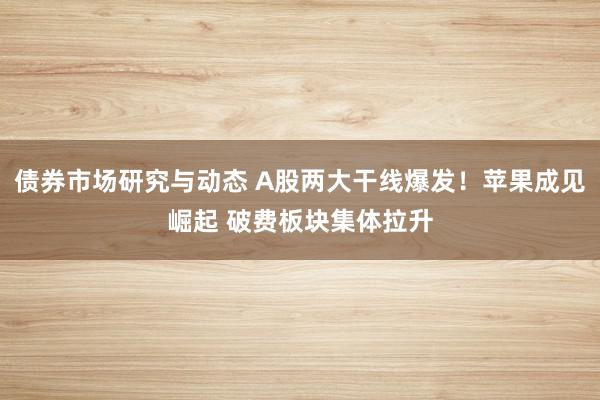 债券市场研究与动态 A股两大干线爆发！苹果成见崛起 破费板块集体拉升