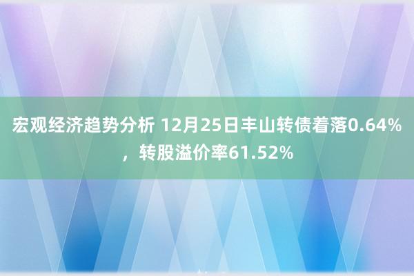 宏观经济趋势分析 12月25日丰山转债着落0.64%，转股溢价率61.52%