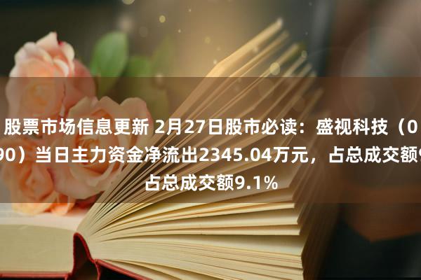 股票市场信息更新 2月27日股市必读：盛视科技（002990）当日主力资金净流出2345.04万元，占总成交额9.1%