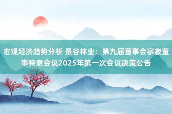 宏观经济趋势分析 景谷林业：第九届董事会寥寂董事特意会议2025年第一次会议决策公告