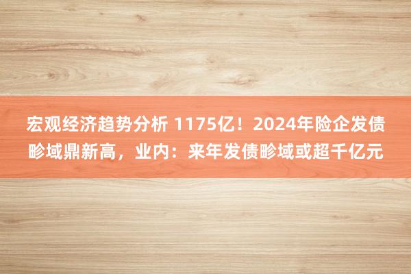 宏观经济趋势分析 1175亿！2024年险企发债畛域鼎新高，业内：来年发债畛域或超千亿元