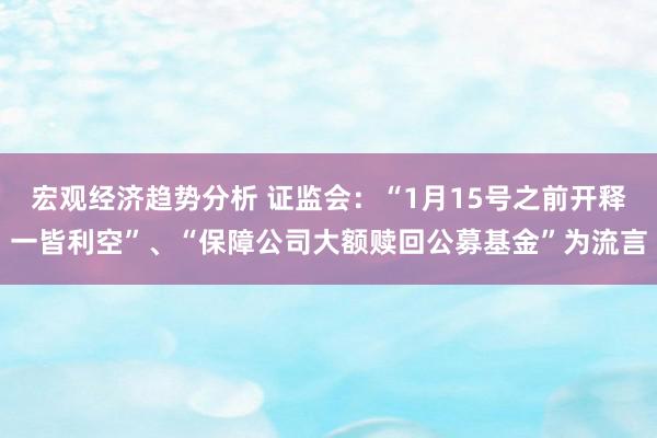 宏观经济趋势分析 证监会：“1月15号之前开释一皆利空”、“保障公司大额赎回公募基金”为流言