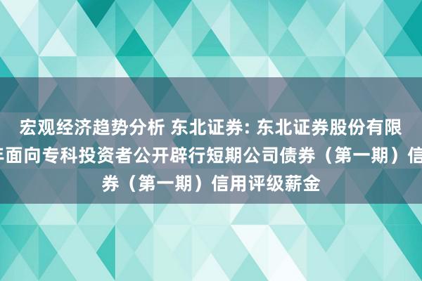 宏观经济趋势分析 东北证券: 东北证券股份有限公司2025年面向专科投资者公开辟行短期公司债券（第一期）信用评级薪金