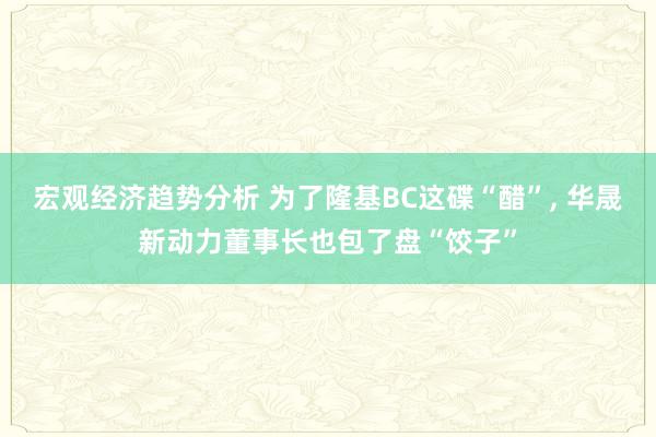 宏观经济趋势分析 为了隆基BC这碟“醋”, 华晟新动力董事长也包了盘“饺子”