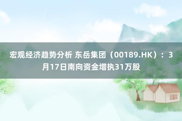 宏观经济趋势分析 东岳集团（00189.HK）：3月17日南向资金增执31万股